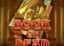 Play Book of Dead Online Slot